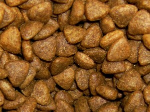 Dry Cat Food with Kibble